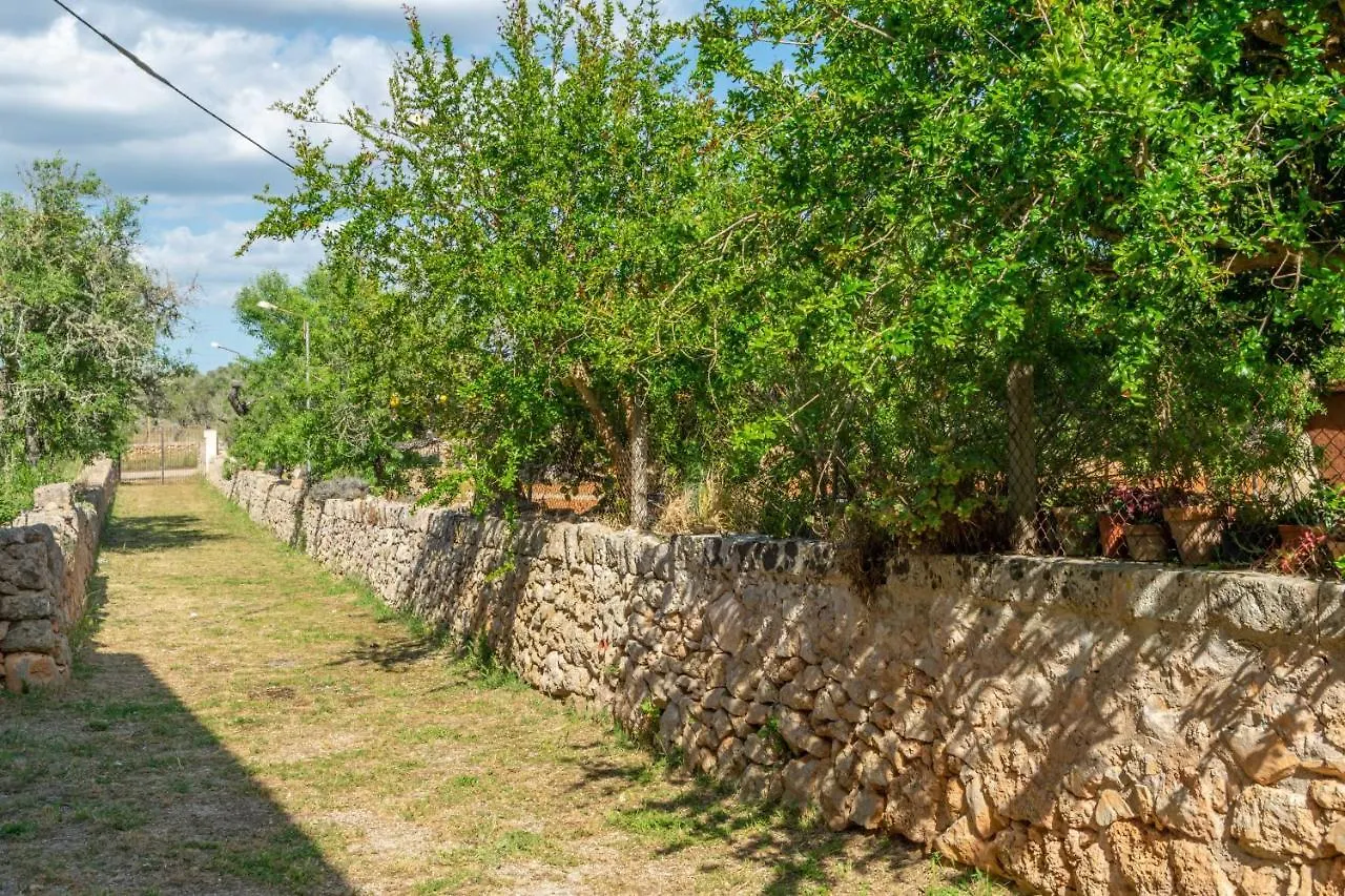 Can Fiolet Algaida  0*, Algaida (Mallorca) Spain