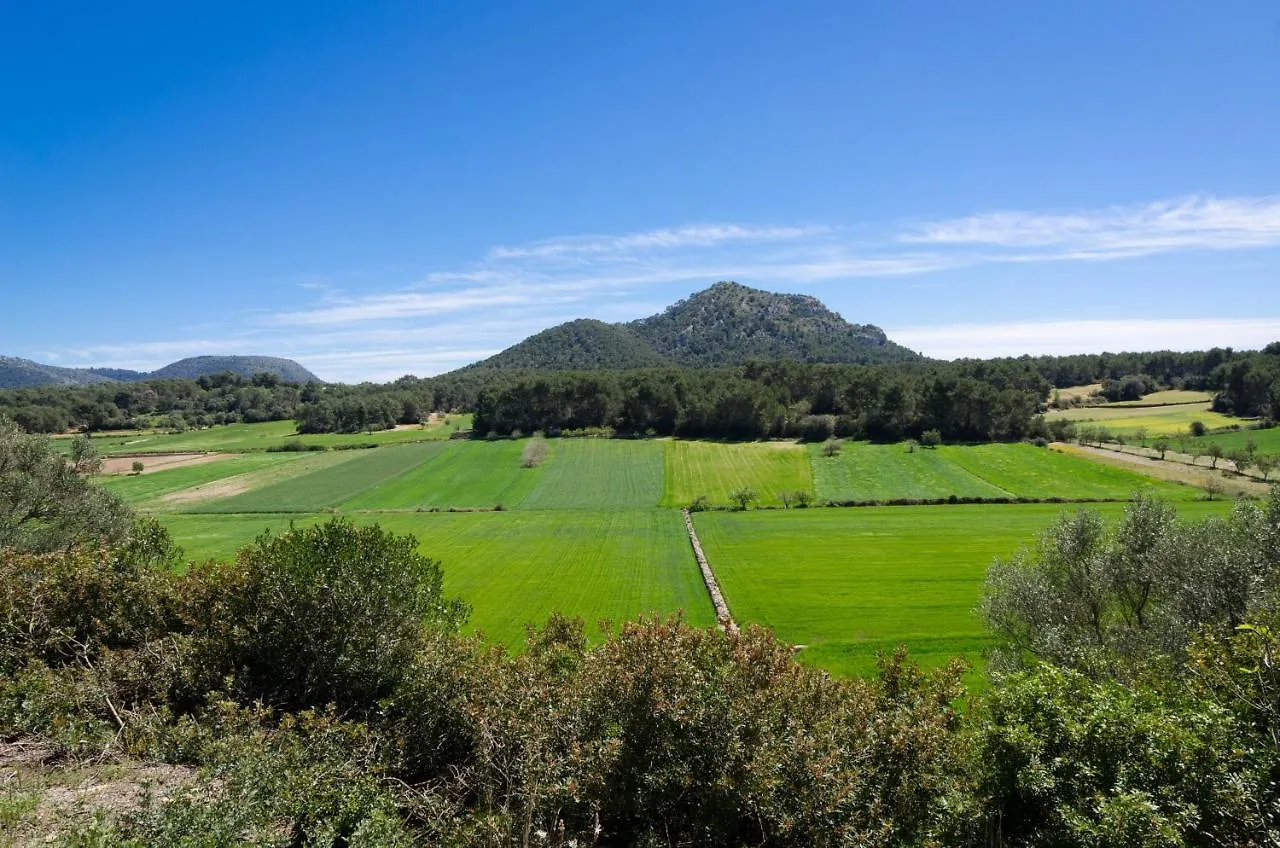 Can Fiolet Algaida  Spain